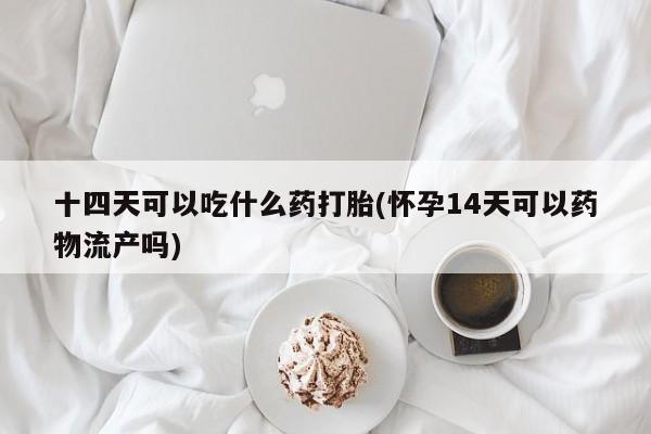 打胎药如何购买十四天可以吃什么药打胎(怀孕14天可以药物流产吗)